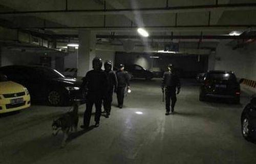哈士奇搞笑图片:养拉布拉多好不好？可以随便养吗？
