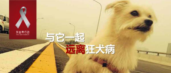 狗狂犬病潜伏期最长多久:狗狂犬病潜伏期最长多久发作 狂犬病毒潜伏期真的会有几十年吗？