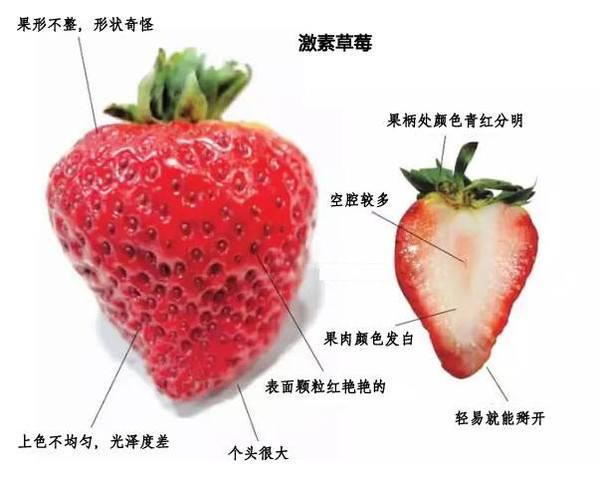 这个季节可以吃草莓吗