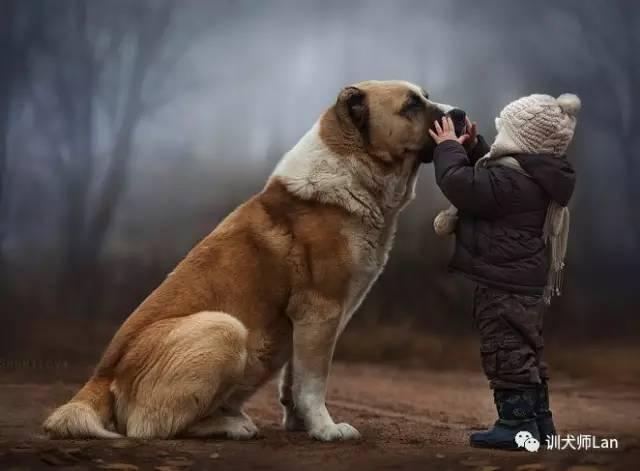 头条问答 为什么啧啧啧可以吸引到狗的注意力 6个回答