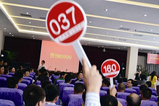 狗宝是什么东西是中药嘛:鸡宝究竟是什么？能卖出几百万？ 狗宝是哪个部位是中药成分