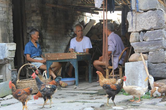 农村怎么才能领取养老金，新型农村养老保险怎么领取和继承