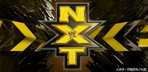 头条问答 - 圣盾三人会是wwe的未来吗?(5个回答)