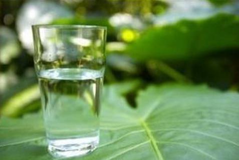 会唱黄土高坡的鹦鹉在线播放:名人中死于装逼的有哪些，他们都是如何把自己给作死的？