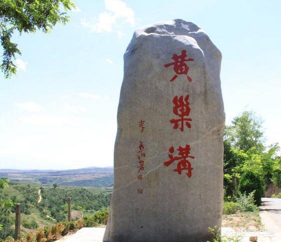 黄巢起义军的粮饷是如何解决的？朱元璋和黄巢为何都爱以菊花自喻？