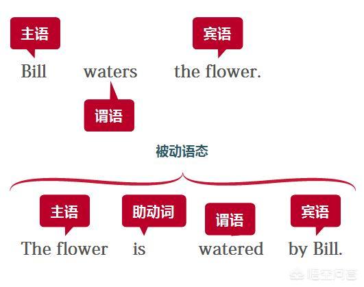 头条问答 学习英语时 如何分辨出被动语态 英语学人的回答 0赞