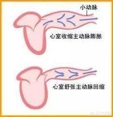 55健康网 疾病百科:血压高压120低压55正常吗？ 39健康网疾病查询