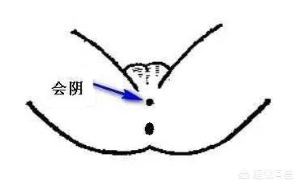 怎样练PC肌？