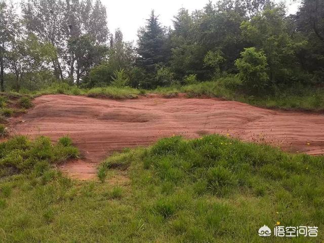 什么房子越住越富,你住过最豪华的房子在哪里，是什么样的？