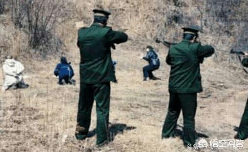 《战狼2》、《我不是药神》、《流浪地球》,你心目中的排名是什么？