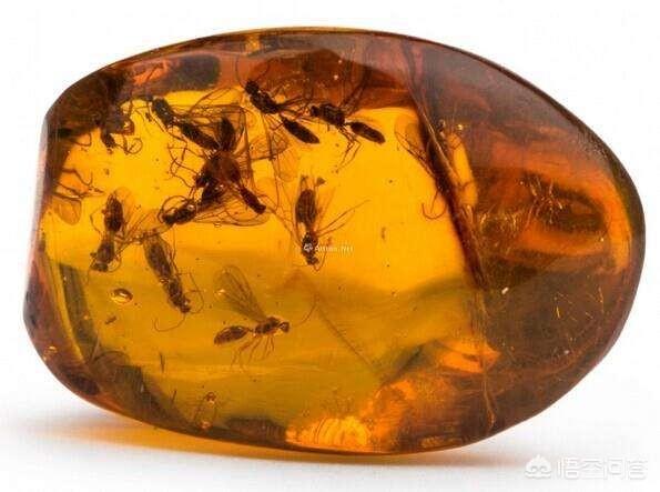 马王堆女尸:古代为什么不能用酒来保存尸体？