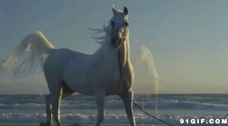 头条问答 - 女生突然说请男生看电影,她是怎么想的呢?(16个回答)