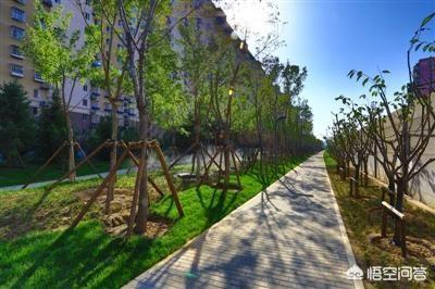 非师范生非对应专业考高中历史资格证难吗？本科学风景园林，想考证。爱好历史？:园林高中 第2张