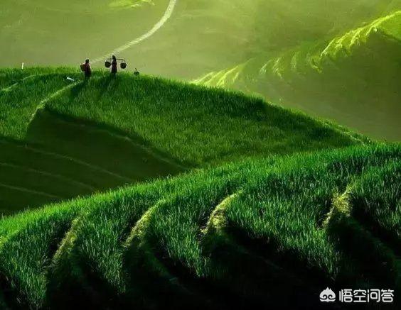 摄影,哪些地方不能用大光圈？