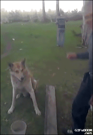 用一句什么话能感动别人？