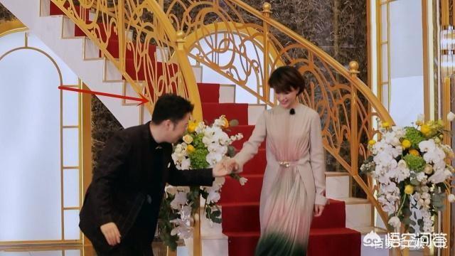 董卿赵忠祥:如何评价董卿在《声临其境》中的表现