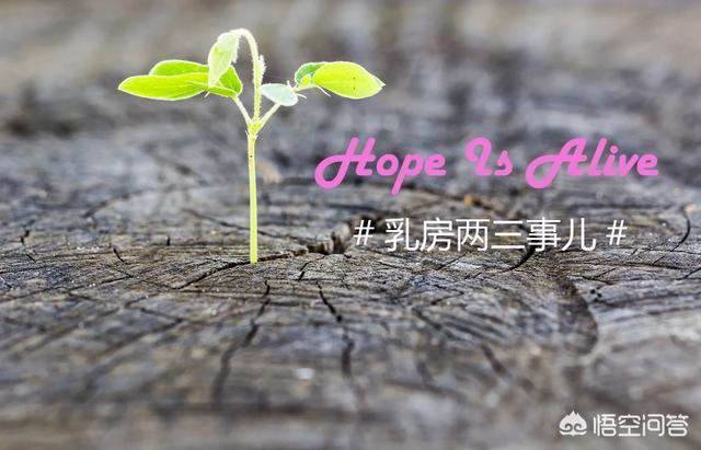 乳腺增生怎么食疗(乳腺增生食疗方法)