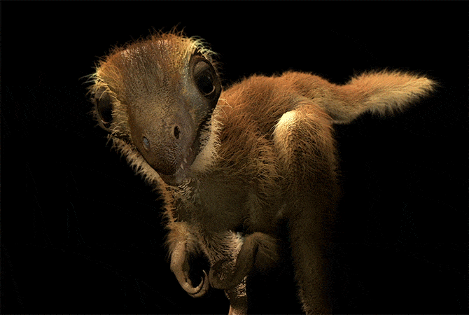 恐龙解谜，科学家说恐龙的祖先，是一种水蜥蜴进化而来的，是真的吗