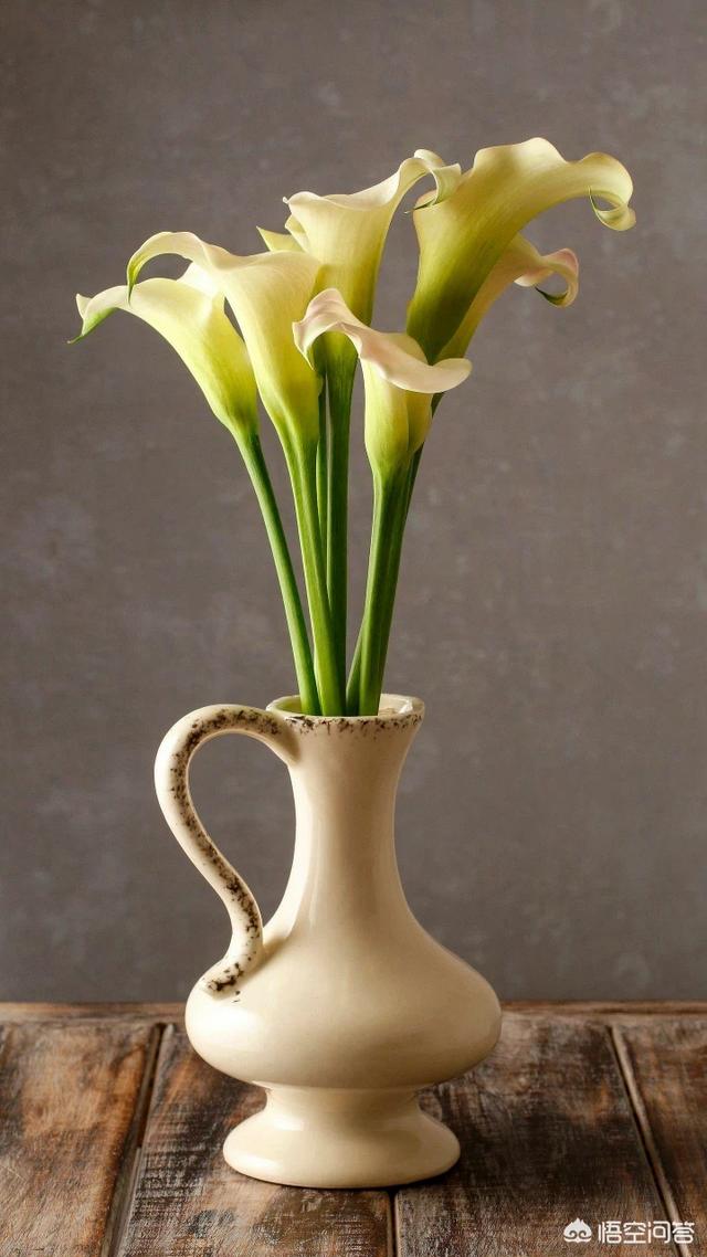 (妙步生莲1的回答,0赞)