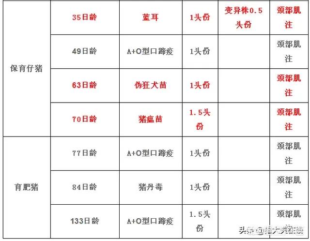 猪病防治实用手册:猪病防治实用手册在线阅读 生猪出现高烧41℃，持续不退，是什么原因导致？该怎样治疗？