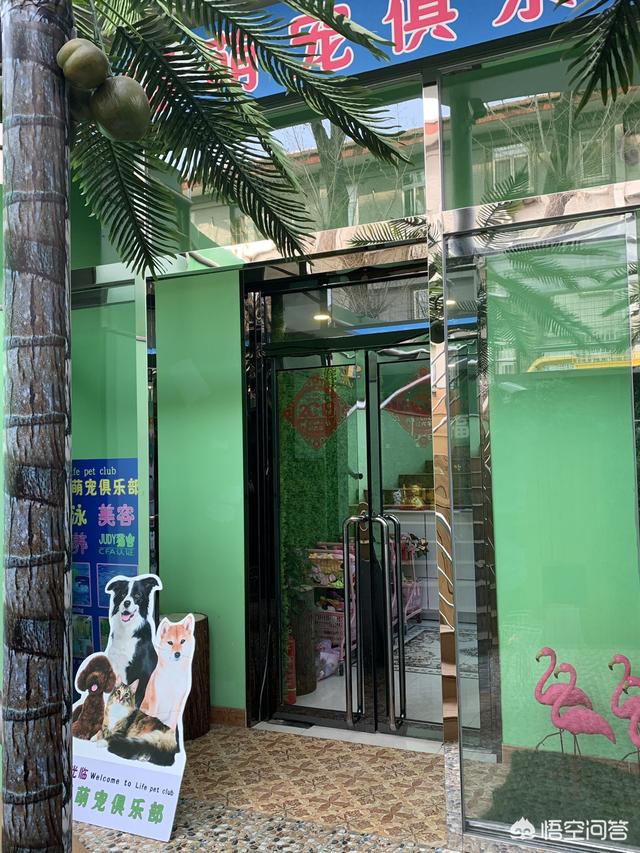 北京宠物美容团购:在北京学习宠物美容，要花多少钱？ 北京宠物美容培训机构