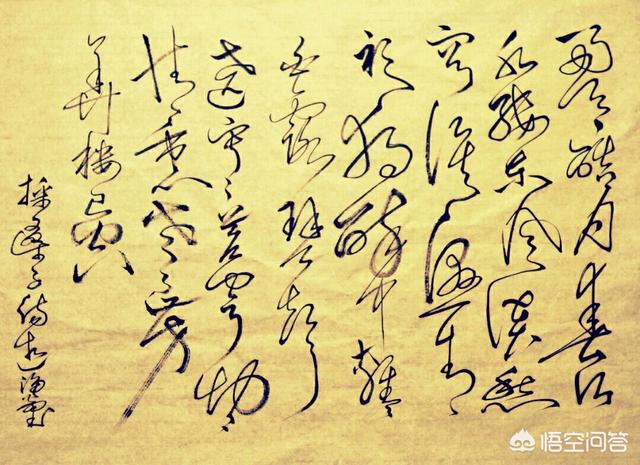 你读过徐志摩的诗歌吗？该怎样评价他？