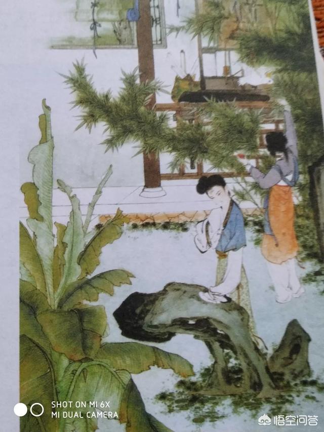 《红楼梦》当中,宝玉和黛玉一起读的《西厢记》是一本什么书？作者是谁？