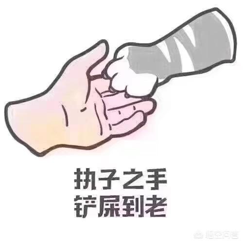 训狗方法大全 图片:农村家里养的土狗，如何驯养它不要爬凳子上去休息？
