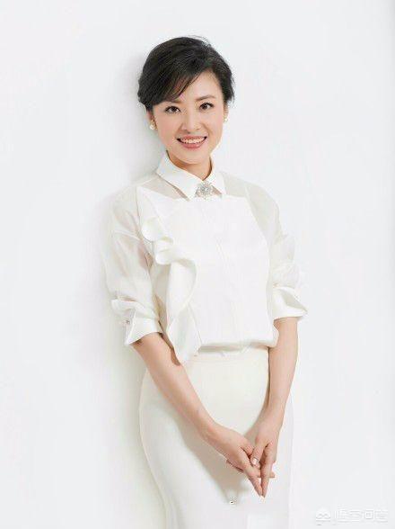 央视郑丽老公是谁:央视主持人王冠的丈夫是谁？