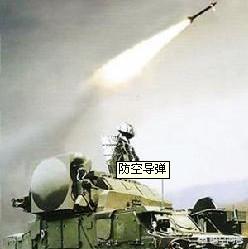 豹猫图片:德国现役防空导弹是什么？