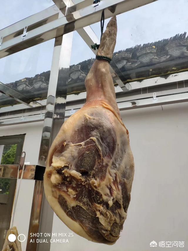 乐狗:蜀南竹海竹海风情农家乐请问店家可以带宠物狗吗？