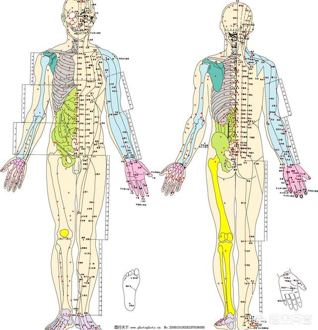 头条问答 - 经络的作用是什么?(17个回答)