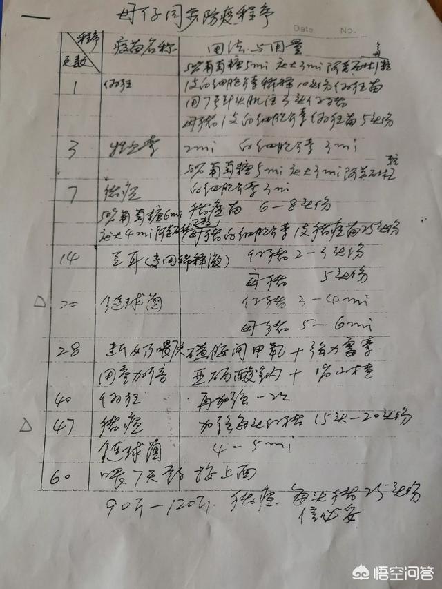 猪狂犬病发病症状前兆:刚下的小猪患伪狂犬病有什么症状？