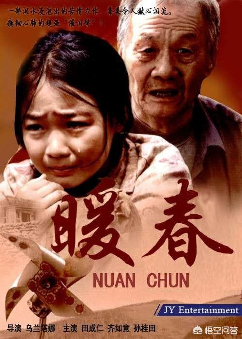 有哪些类似《我的前半生》,《都挺好》,《小别离》这类型的现实主义电视剧？