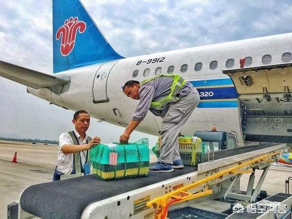 国内国际宠物托运公司殷齐:宠物托运公司会如何保护宠物呢？