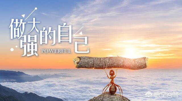 我想知道弱者如何强大起来怎么才算真正的强大如何让自己的心不再脆弱