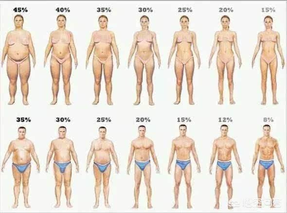 头条问答 男生体脂率多少最适合 158个回答