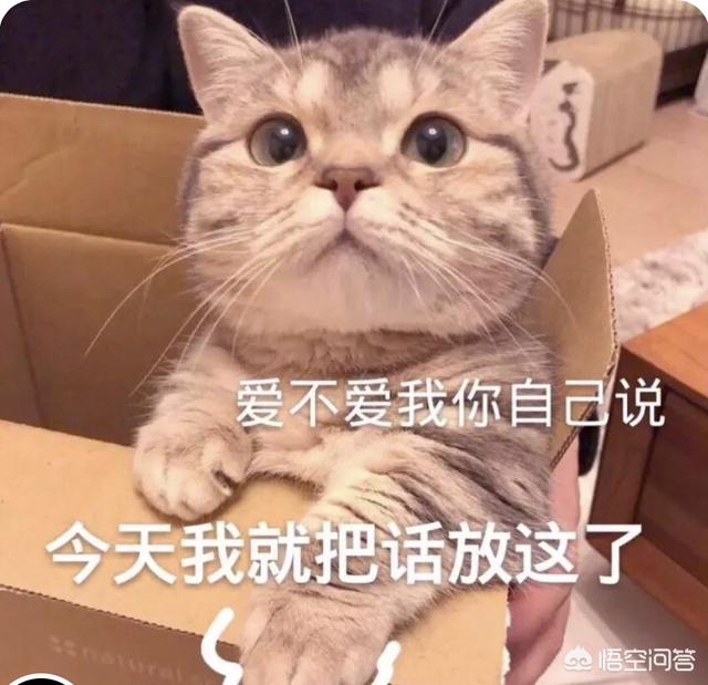 有什么沙雕表情包睿智而不低俗?-终于实宪