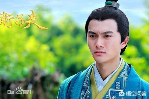 卫青与平阳公主:卫青的儿子是平阳公主生的吗？卫青有几个儿子？