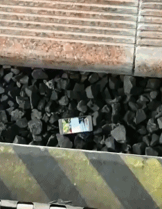 搞笑狗狗罚站视频:有什么让人笑的肚子疼的GIF？ 狗狗视频大全搞笑