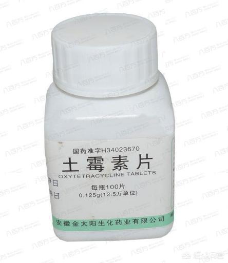 信鸽土霉素片的功效与作用:土霉素片的功效与作用说明书 鸽子喂了土霉素吃东西吐食怎么办？