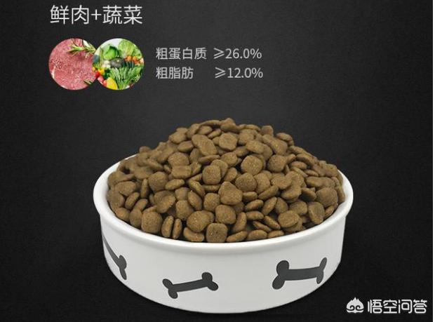 泰迪乱咬牵引绳:你家泰迪犬最反感的是什么？