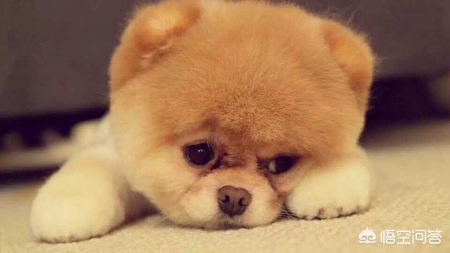 越磨人的孩子越有出息,孩子是越吵，成绩越差吗？怎么教育好？