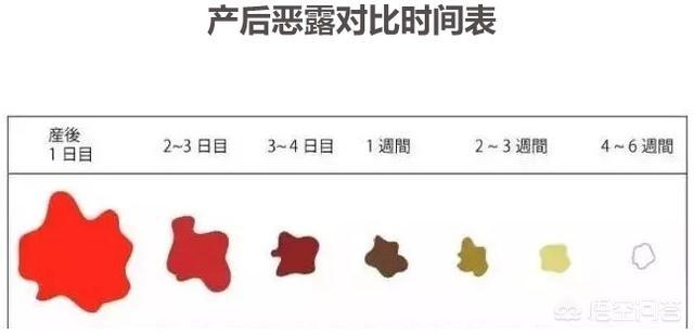 排恶露上