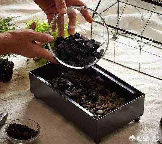 花土里加火山石:花盆有点深底下垫什么好呢？