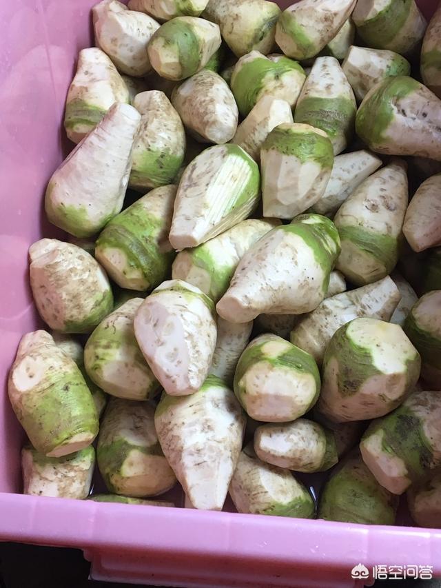 头条问答 - 哪能买到芥菜根?(6个回答)