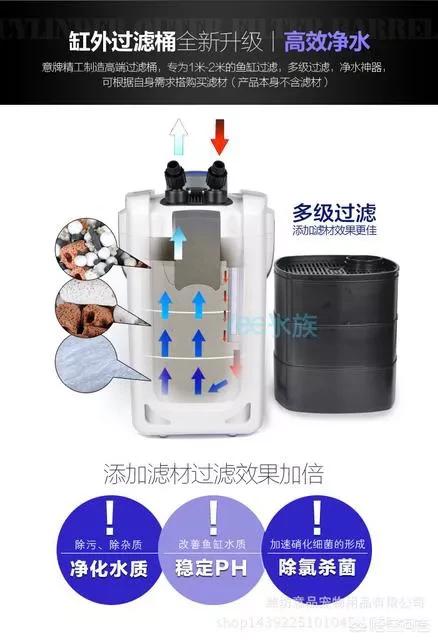 024观赏鱼自由交易车安全:什么样的鱼缸滤材比较好？