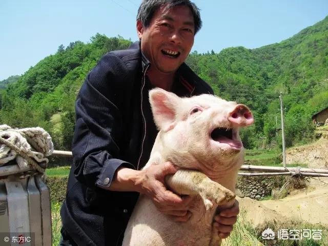 农村老俗话说"木匠不做齐头料,屠夫不杀五爪猪"是什么意思?有道理吗?