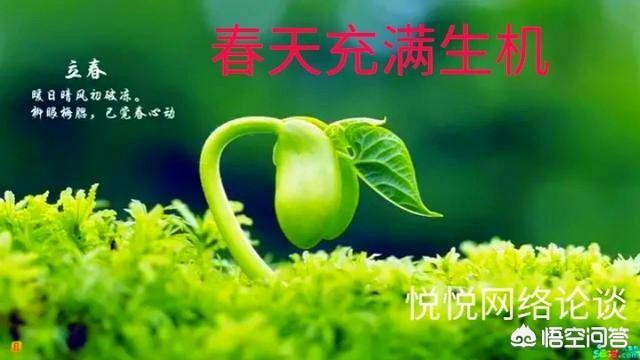 怎样描写和抒发你对春天的酷爱与热情？