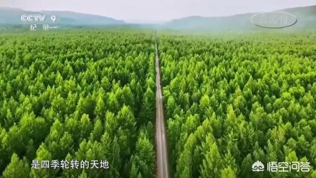 有哪些类似于《超级工程》和《大国重器》的纪录片值得推荐？